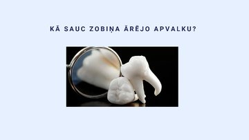 Презентация 'Zobu higiēna', 24.