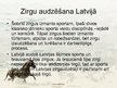 Презентация 'Zirgu audzēšana Latvijā', 3.