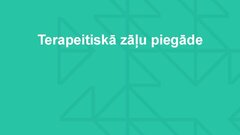 Презентация 'Molekulārie motori, to pielietojuma iespējas medicīnā', 13.