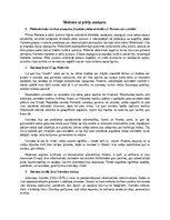 Конспект 'Meitene ar pērļu auskaru', 1.