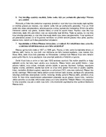 Конспект 'Meitene ar pērļu auskaru', 3.