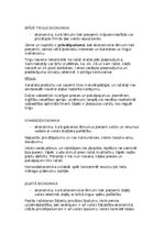 Конспект 'Ekonomiskās sistēmas', 2.