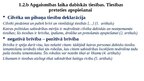 Презентация 'Brīvības diskurss tiesību zinātnē', 4.