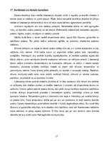 Конспект 'Spirta iegūšana no vīna ar destilācijas metodi', 17.