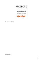 Реферат 'Company "Damixa"', 1.