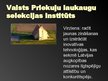Презентация 'Latvijas selekcija un izmēģinājumu stacijas', 4.