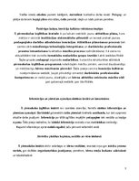 Отчёт по практике 'Agrīnas bērnības prakse', 3.