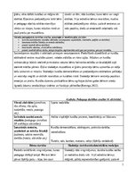 Отчёт по практике 'Agrīnas bērnības prakse', 7.