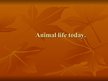 Презентация 'Animal Life Today', 1.