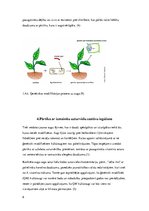 Реферат 'Pārtikas, kas ražota no ģenētiski modificētiem organismiem, izplatīšana un izman', 6.