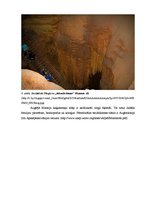 Реферат 'Karsta procesi Mamuta alas Nacionālajā parkā, ASV', 7.