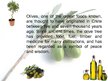Презентация 'Extra Virgin Olive Oil', 2.
