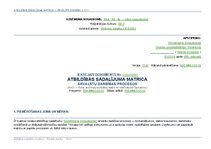 Образец документа 'Atbildības sadalījuma matrica ārvalstu darbības procesos', 1.