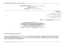 Образец документа 'Atbildības sadalījuma matrica ārvalstu darbības procesos', 9.