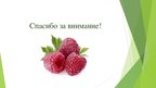 Презентация 'Сельскохозяйственная ферма по выращиванию и сбору садово-ягодных культур', 12.
