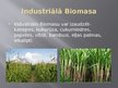Презентация 'Biomasa un vēja enerģija', 7.