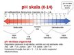 Презентация 'Vispārējā un sporta bioķīmija', 6.