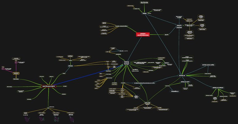 Конспект 'Mikrobioloģija, Mind Map', 1.