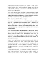 Эссе 'Dizains: funkcionalitāte, estētika un cilvēka pieredze', 2.