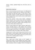 Эссе 'Dizains: funkcionalitāte, estētika un cilvēka pieredze', 3.