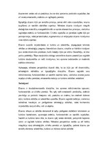 Эссе 'Dizains: funkcionalitāte, estētika un cilvēka pieredze', 4.