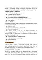 Конспект 'Civiltiesību, civilprocesa un komerctiesību jautājumu konspekts', 248.
