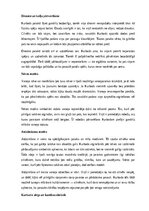 Конспект 'Latviešu tautas pasakas “Kurbads” analīze', 7.