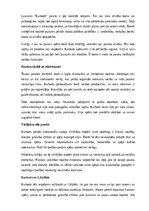 Конспект 'Latviešu tautas pasakas “Kurbads” analīze', 9.