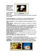 Реферат 'Dabas objekti Limbažu rajonā', 2.