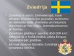 Презентация 'Zviedrijas krona', 2.