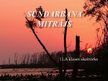 Презентация 'Sundarbana mitrājs', 1.