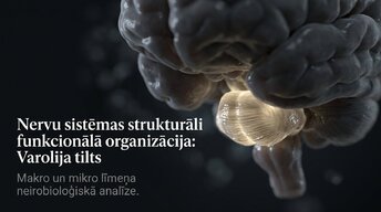 Презентация 'Nervu sistēmas strukturāli funkcionālā organizācija: varolija tilts', 1.