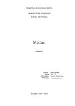 Реферат 'Medus', 1.
