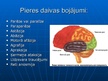 Презентация 'Smadzeņu pakauša, deniņu, paura un pieres daļas bojājumu neiropsiholoģiskie sind', 4.