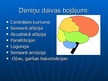 Презентация 'Smadzeņu pakauša, deniņu, paura un pieres daļas bojājumu neiropsiholoģiskie sind', 6.