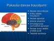Презентация 'Smadzeņu pakauša, deniņu, paura un pieres daļas bojājumu neiropsiholoģiskie sind', 7.