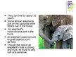 Презентация 'Elephants', 3.