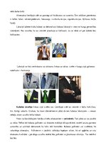 Презентация 'Kungu apģērbs - kaklasaite, kurpes, zeķes, aksesuāri un tumšs uzvalks', 9.