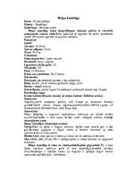 Конспект 'Bezdelīgas un čurkstes', 5.