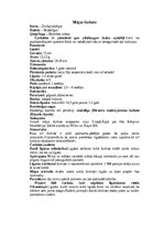 Конспект 'Bezdelīgas un čurkstes', 8.