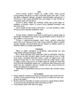 Конспект 'Bezdelīgas un čurkstes', 9.