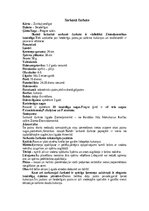 Конспект 'Bezdelīgas un čurkstes', 10.