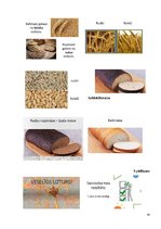 Отчёт по практике 'Prakse sākumskola 1.-3.kl.', 59.