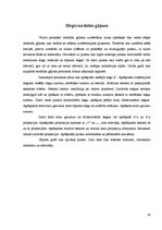Отчёт по практике 'Būvasu nospraušana', 14.