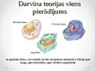 Презентация 'Darvina teorija par evolūciju', 7.