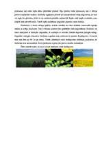 Реферат 'Bioetanols un biodegviela', 3.