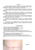 Реферат 'Rētas', 6.