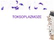 Презентация 'Toksoplazmoze', 1.