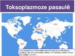 Презентация 'Toksoplazmoze', 4.