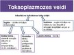 Презентация 'Toksoplazmoze', 6.